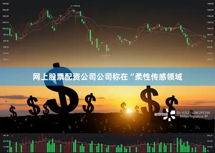 网上股票配资公司公司称在“柔性传感领域