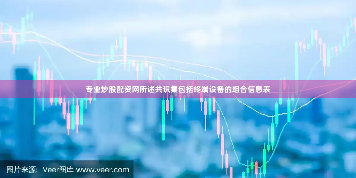 专业炒股配资网所述共识集包括终端设备的组合信息表
