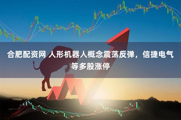 合肥配资网 人形机器人概念震荡反弹，信捷电气等多股涨停